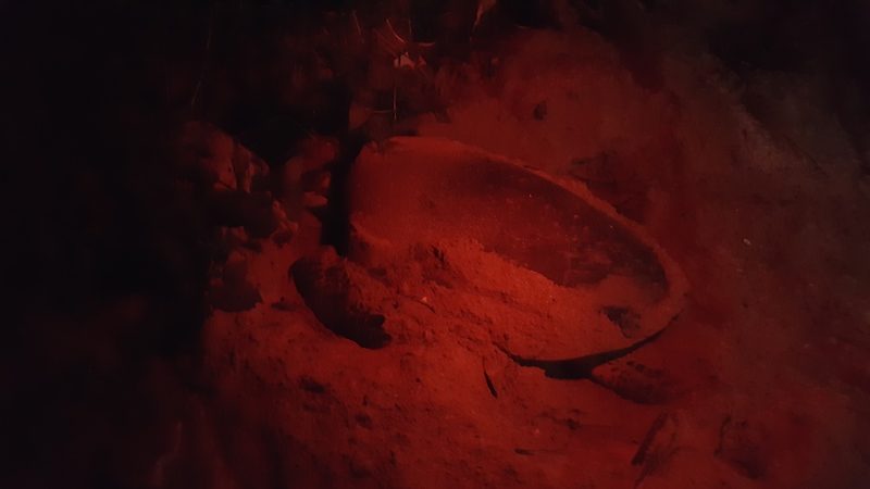 ‘MAE SRI PRACHUAP’ IS THE STAR OF THE SEA TURTLE RESURGENCE