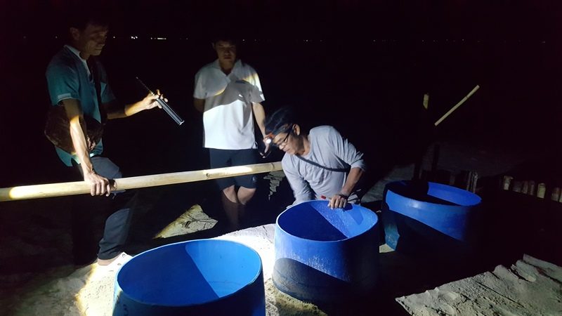‘MAE SRI PRACHUAP’ IS THE STAR OF THE SEA TURTLE RESURGENCE